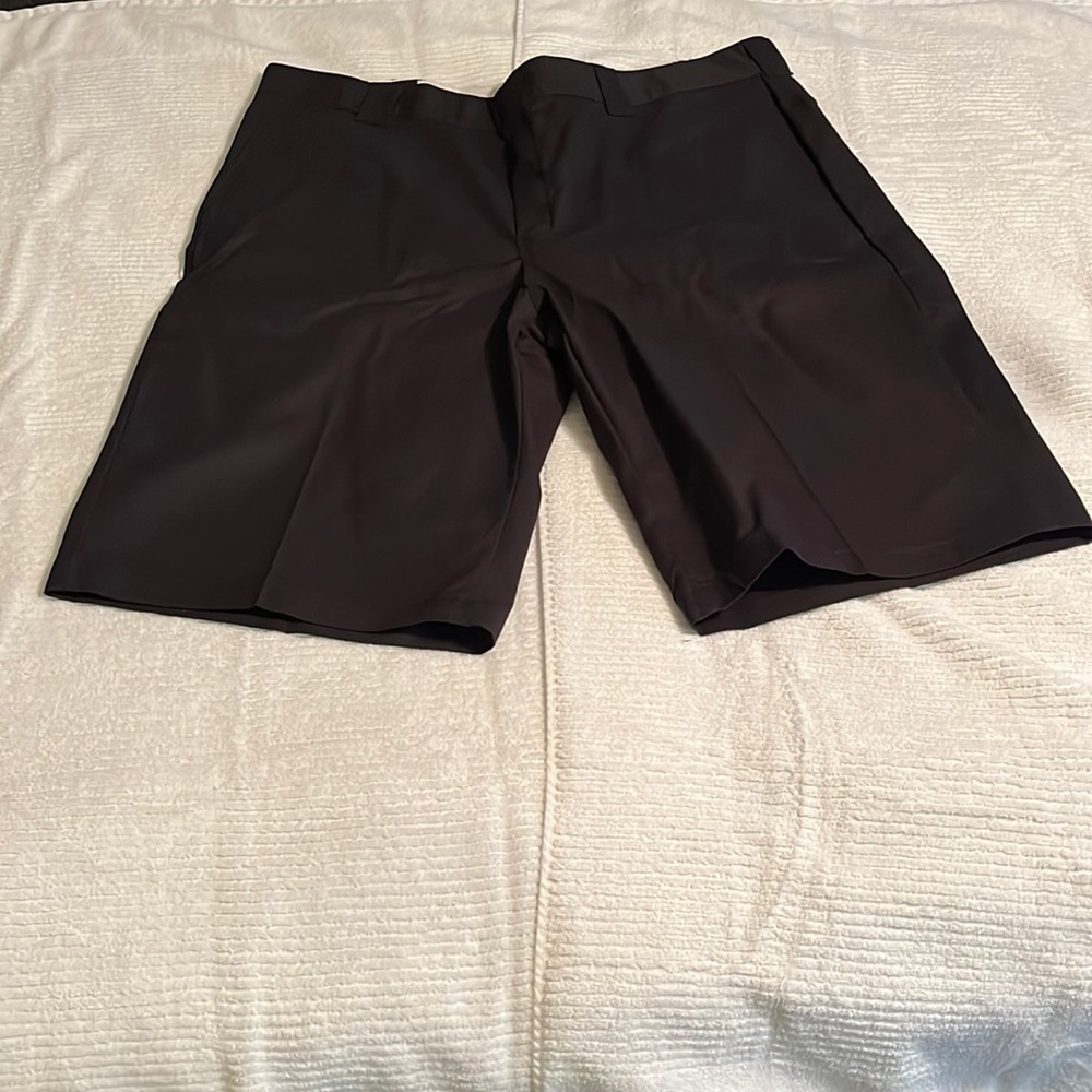 Mens Dickies Flex Work Short